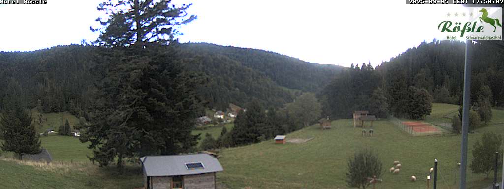 Webcam